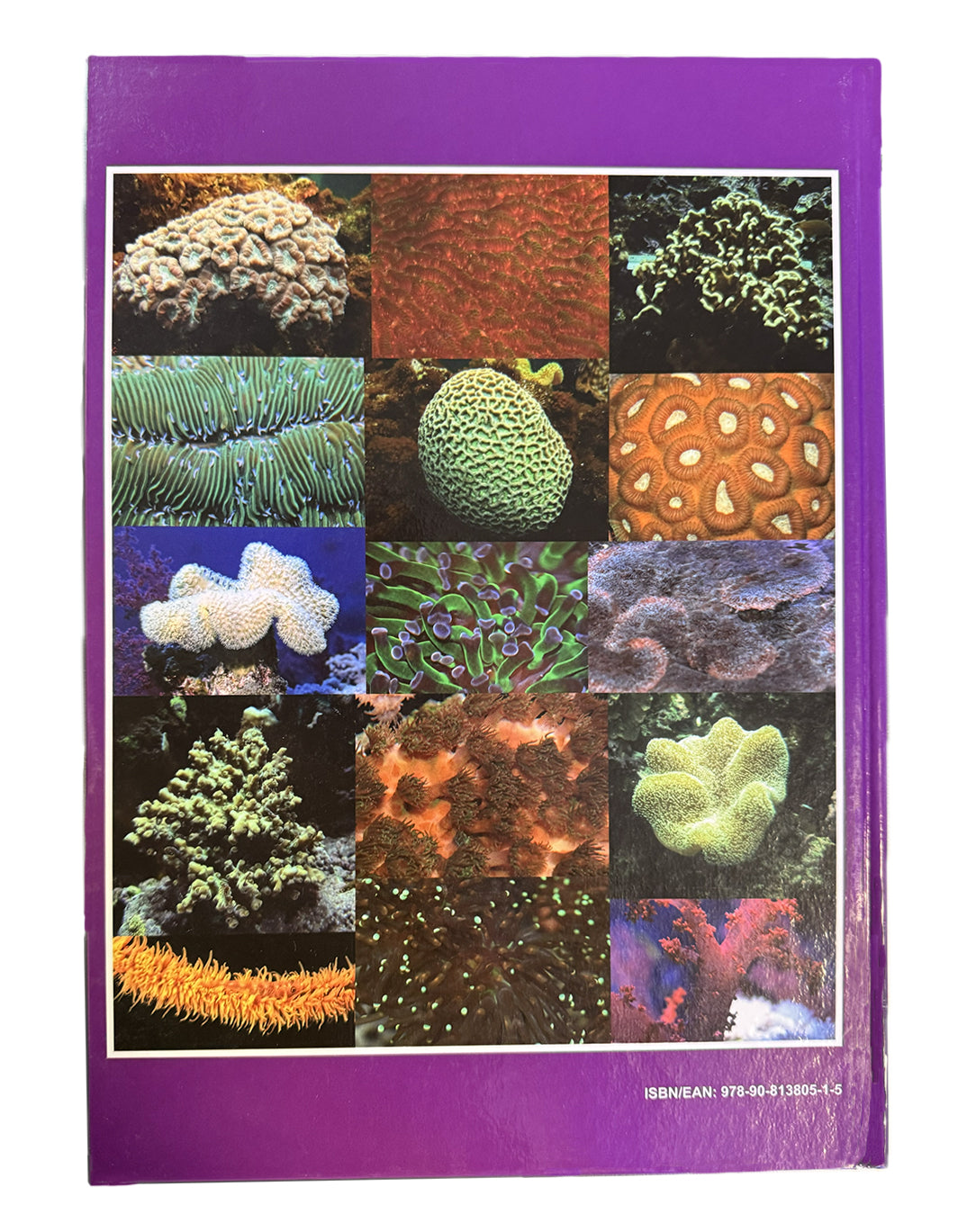Advances in Coral Husbandry in Public Aquariums