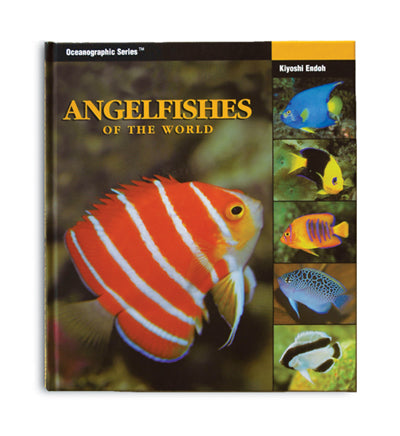 Angelfishes Of The World