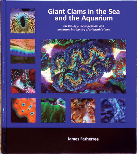 Giant Clams in the Sea and the Aquarium