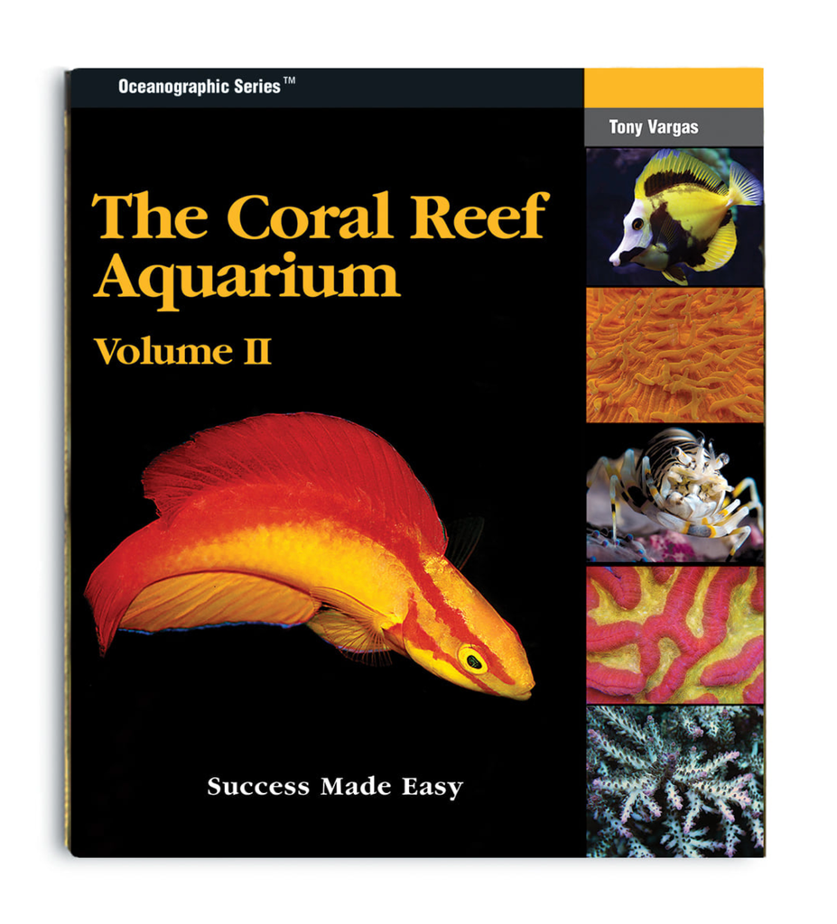 The Coral Reef Aquarium Volume 2 - two little fishies