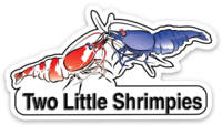 Two Little Shrimpies Sticker